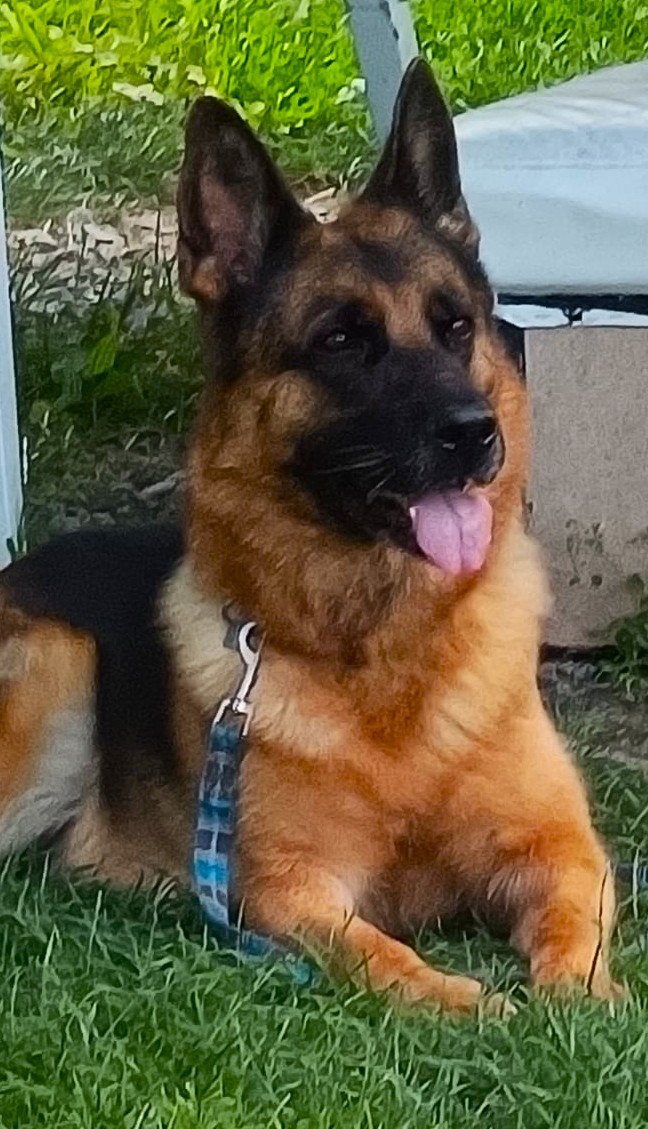 Ginna matka